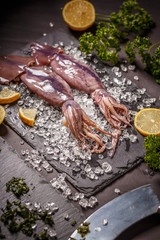 Fresh cuttlefish
