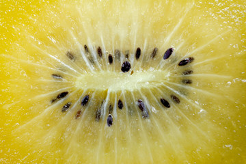 close up of SunGold kiwi fruit slices