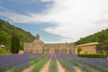 Sénanque Abbey