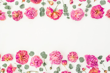 Frame with pink roses and leaves isolated on white background, Flat lay, Top view