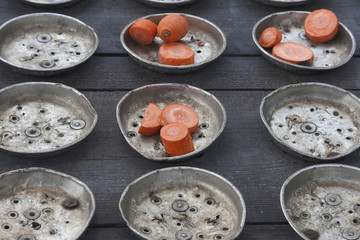 Feeding the animals in the zoo