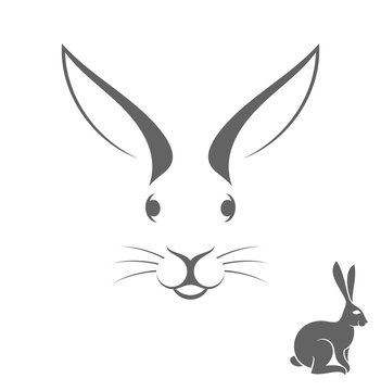 Rabbit. Isolated animals on white background 