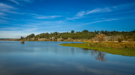 Landscape and Autumn exposure in a wooden deck done in Pateira de Fermentelos, portugal
