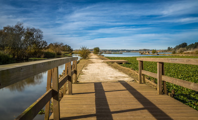 Landscape and Autumn exposure in a wooden deck done in Pateira de Fermentelos, portugal