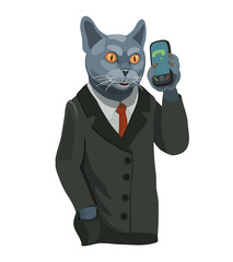 Cat gray male talking on a cell phone/ Cat gray male talking on a cell phone, business, agile, nimble, to make a screensaver on a mobile phone or a computer who is calling you!