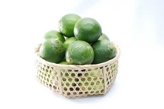 kikuchi lemon002