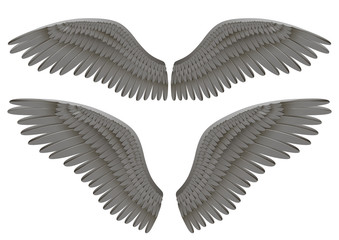 Vector realistic illustration of black angel wings