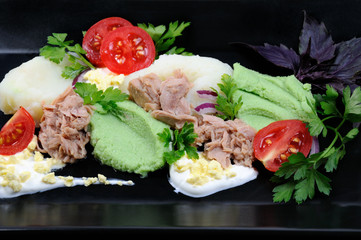 tuna with garnish