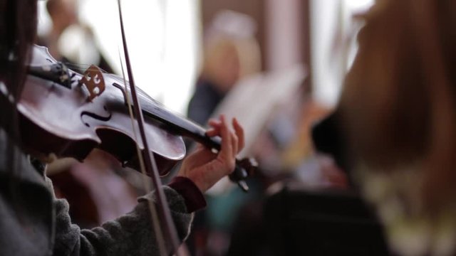 Musicant plays the violin