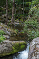 pyrénées