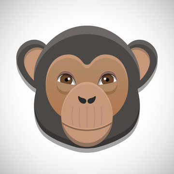 Vector drawing the head of a monkey, chimpanzee