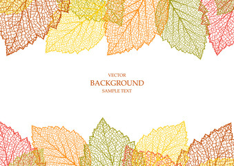 Fototapeta premium Autumn background with leaves 