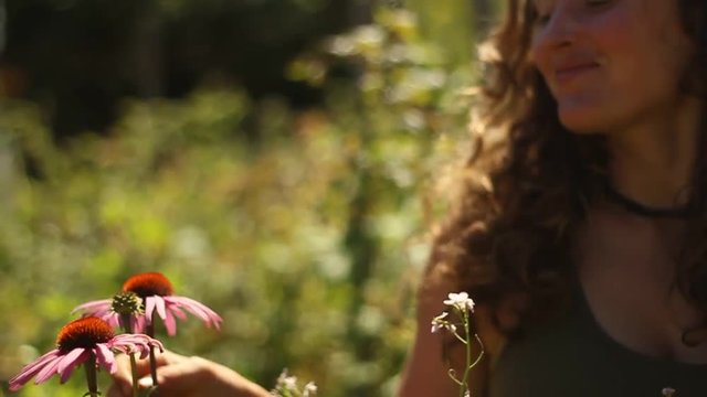 Woman smells echinacea flowers in a beautiful garden on Vancouver Island, Canada, narrow Depth of Field