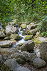 pyrénées