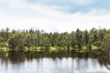 Fototapeta na wymiar Rural summer landscape view of forest lake and green summer forest trees in sunny weather.