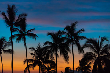 Obraz premium Tropical sunset