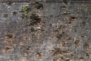 bewachsene Backsteinmauer aus Stein in der kaiserlichen Zitadelle