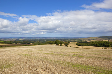 Fototapeta na wymiar agricultural countryside vista