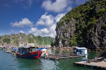 traditional vietnamese boats and floating village among beautiful limestone rocks of Lan Ha bay, the southern edge of Ha Long bay, Vietnam