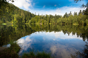 Fototapeta premium Vogesensee Lac de laMaix