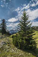 Panoramic view of Alps mountains