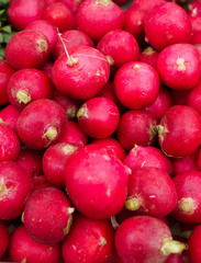 Fresh red radish lying in a box.