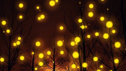 Magic forest silhouette tree night and fantasy lights move up.