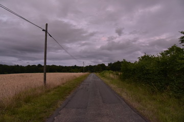 Fototapeta na wymiar Route de campagne longeant un champs de blé au crépuscule