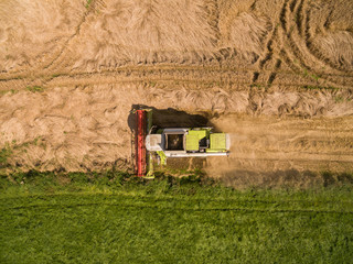 Fototapeta na wymiar combine harvester - Aerial view of modern combine harvester at the harvesting the wheat on the golden wheat field in the summer - Cereal harvest