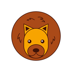 Wild lion isolated icon vector illustration design