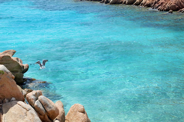 Arcipelago della Maddalena, isola Caprera, spiaggia Cala Coticcio. Paradiso terrestre