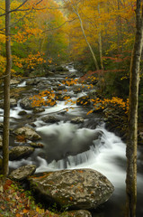 Little Pigeon River at Tremont in Great Smoky Mountains