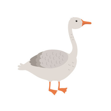 Cartoon goose isolated on white background