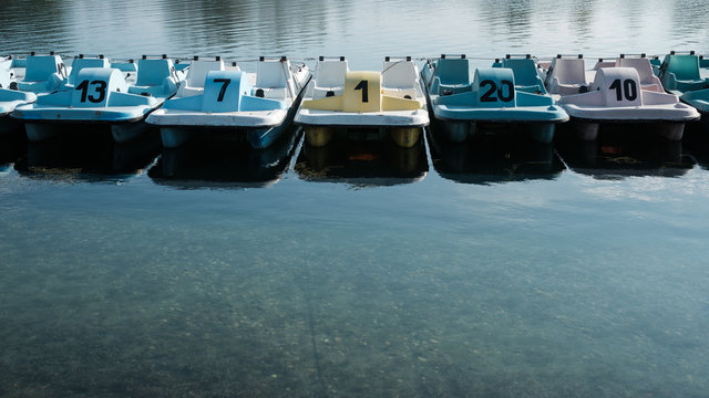 Pedal Boats on the River