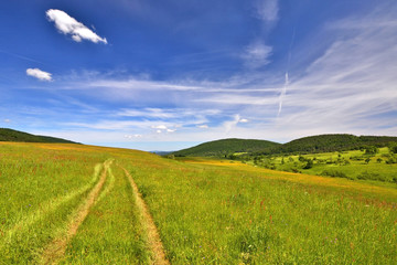 Rural landscape in countryside of Beskid Niski, Poland - obrazy, fototapety, plakaty