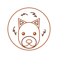 Wild lion isolated icon vector illustration design