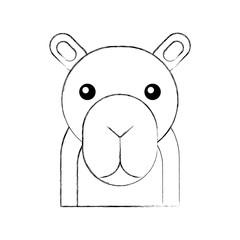 african camel isolated icon vector illustration design