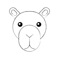 african camel isolated icon vector illustration design