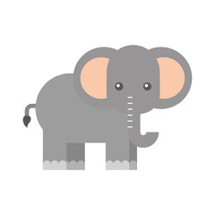 african elephant isolated icon vector illustration design