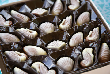 A square box of shell-shaped chocolate sweets of white and milk chocolat                                              e 