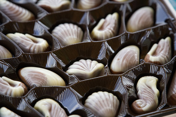 A square box of shell-shaped chocolate sweets of white and milk chocolat                                              e 