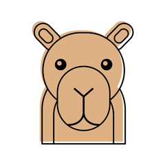 african camel isolated icon vector illustration design
