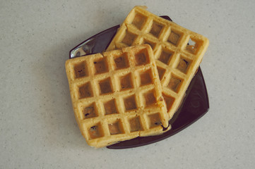 delicious waffles on a plate,