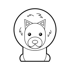 Wild lion isolated icon vector illustration design