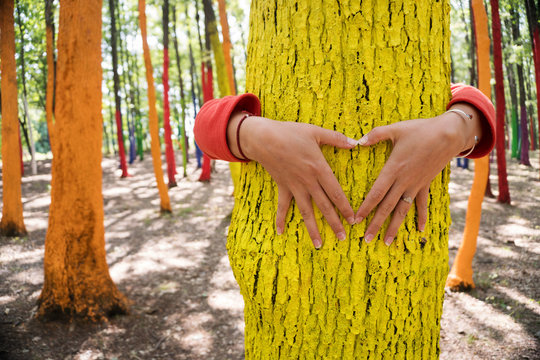 Woman embrassing a colourful tree with shape of heart from hand, forest with painted trees as a protest against cutting trees.
