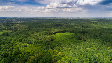 Clouds casting shadows on forest