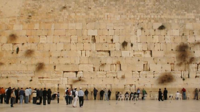 Wide shot. People praying at he Western Wall of Jerusalem.