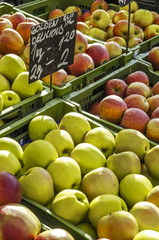 Äpfel am Markt, Österreich, Wien, 5. Bezirk, Naschmarkt