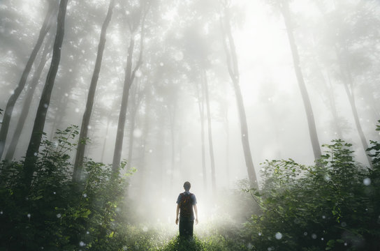 Man in enchanted forest with first snow falling