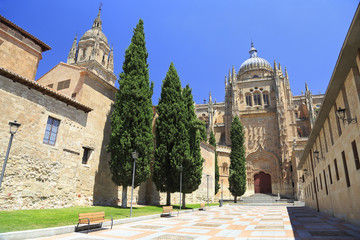 Fototapeta na wymiar Salamanca New and Old Cathedrals, Spain